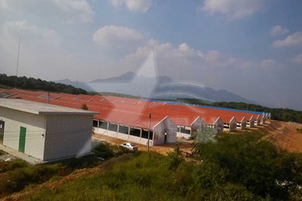 珠海建材市場什么樣的樹脂瓦質量好